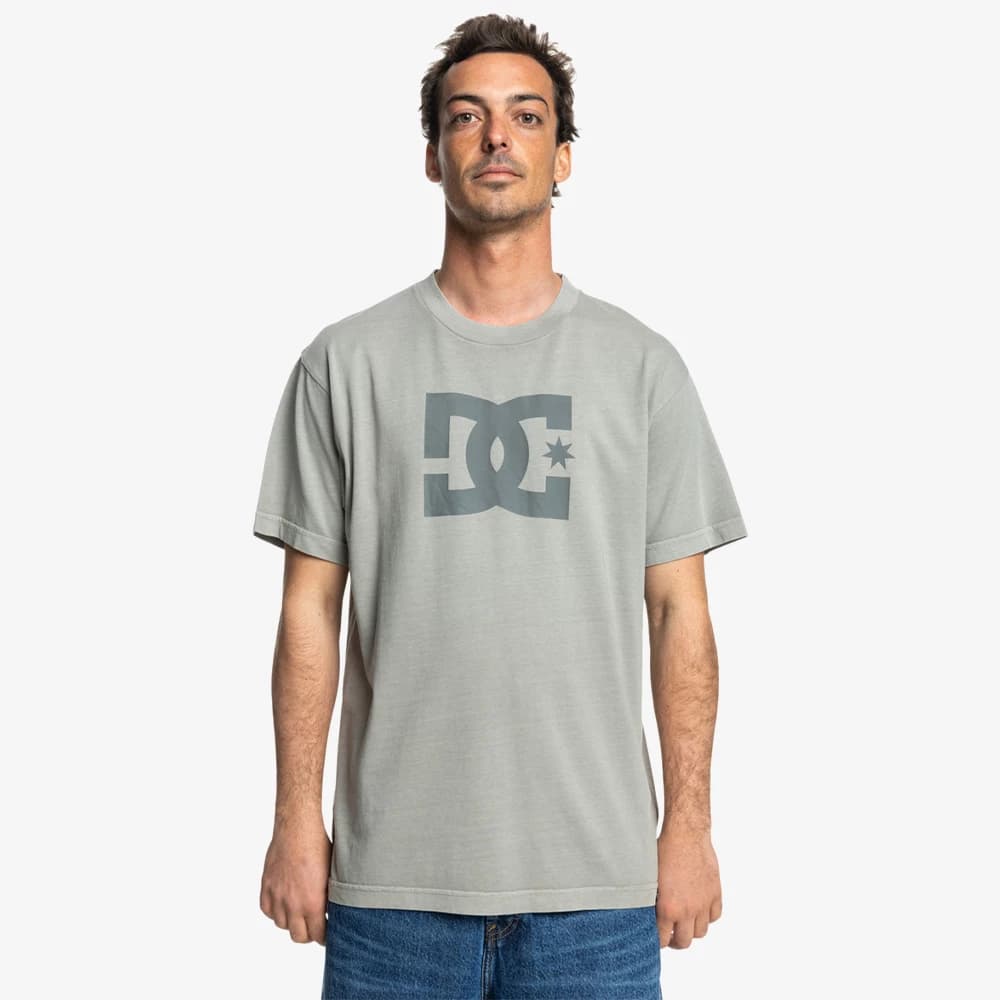 DC Men's Star Pigment Dye T-Shirt - Moon Mist Enzyme Wash
